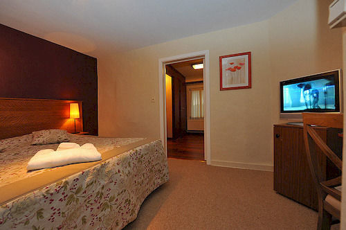 Roannay - Hotel 4*