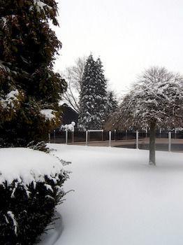 Roannay - 4* Francorchamps
